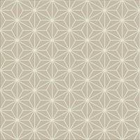 Asanoha / Japanese Pattern