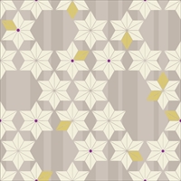 Asanoha / Japanese Pattern