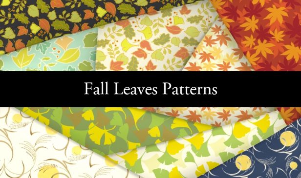 Fall Leaves Patterns